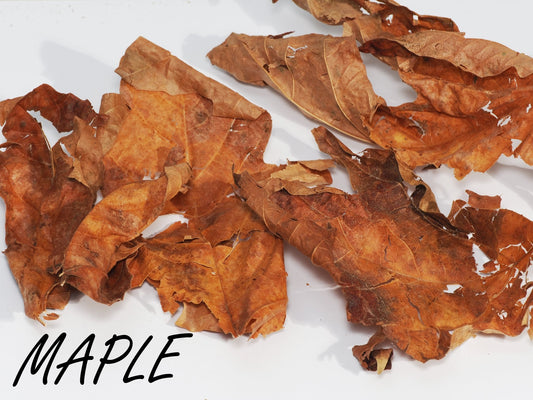 Leaf Litter - Arthropods Canada