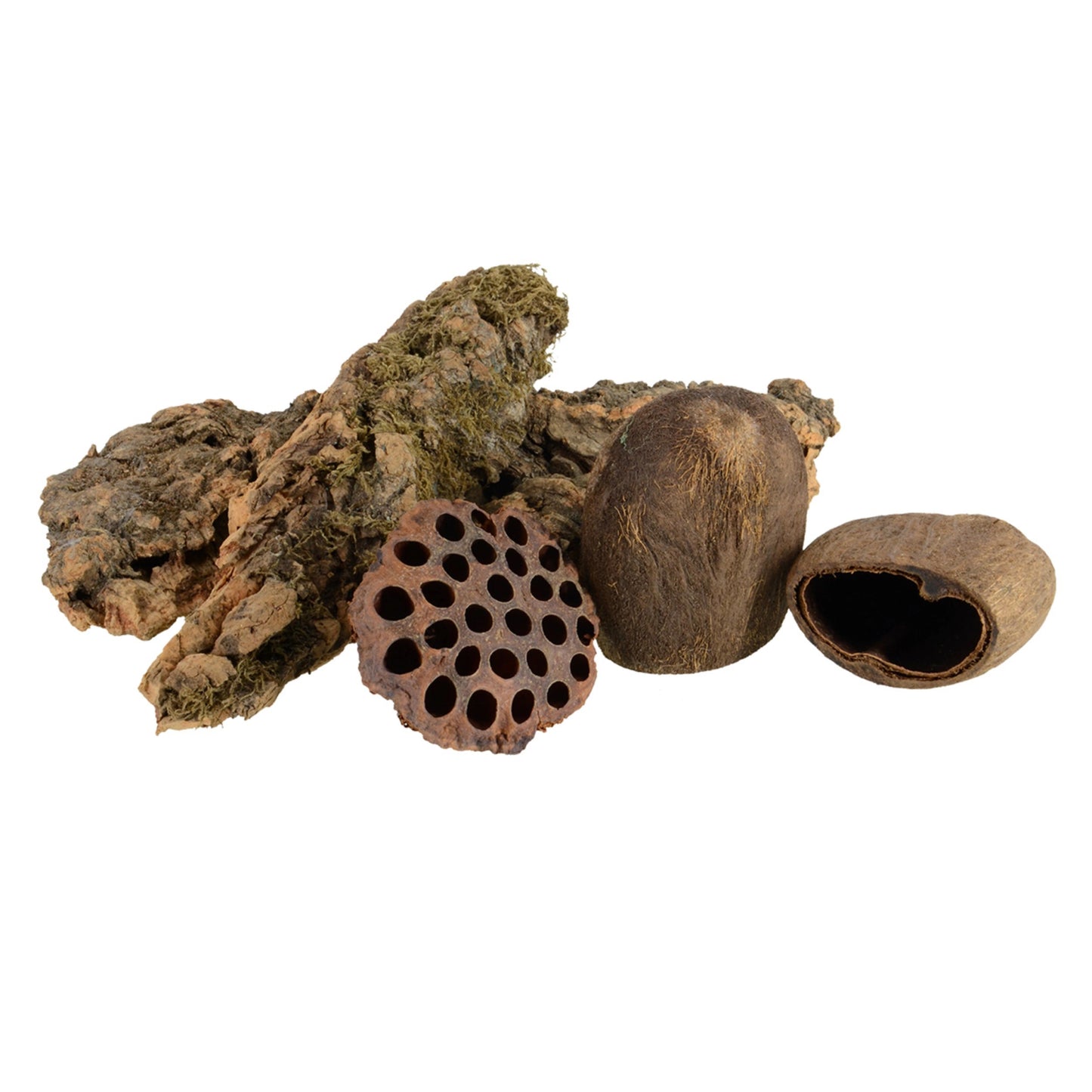Tannin Pods & Cork - Arthropods Canada