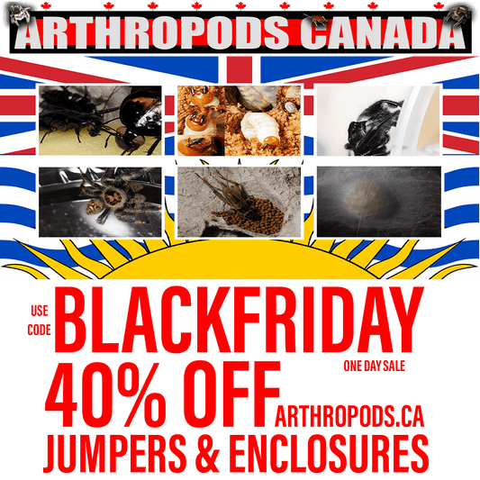 Black Friday Sale at Arthropods Canada! - Arthropods Canada