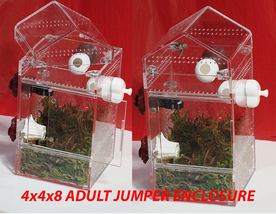 Arboreal enclosure "House" - Arthropods Canada