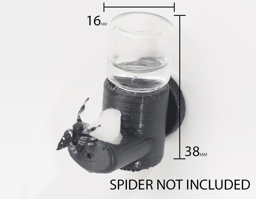 Hydration Station Arthropods Canada hydration-station-arthropods-canada