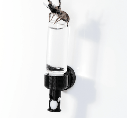 Hydration station - Arthropods Canada