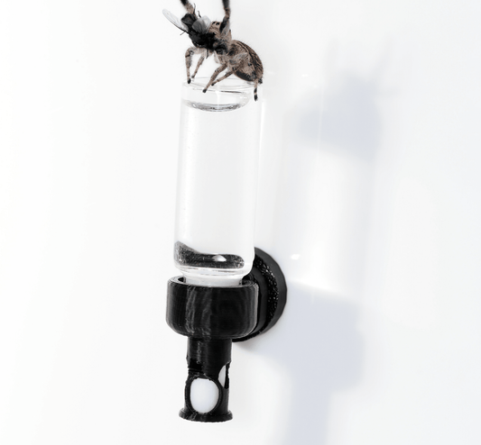Hydration station - Arthropods Canada