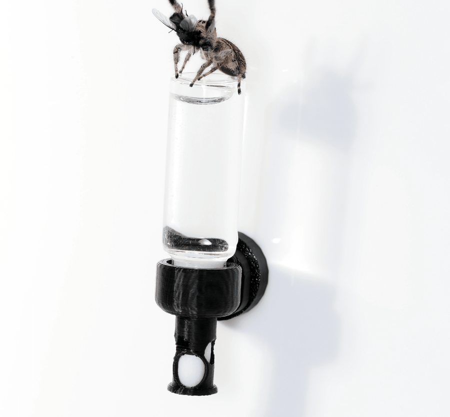 Hydration station - Arthropods Canada